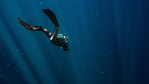 Eine Person mit Flossen taucht durch tiefblaues Wasser, in das einzelne Lichtstrahlen fallen.